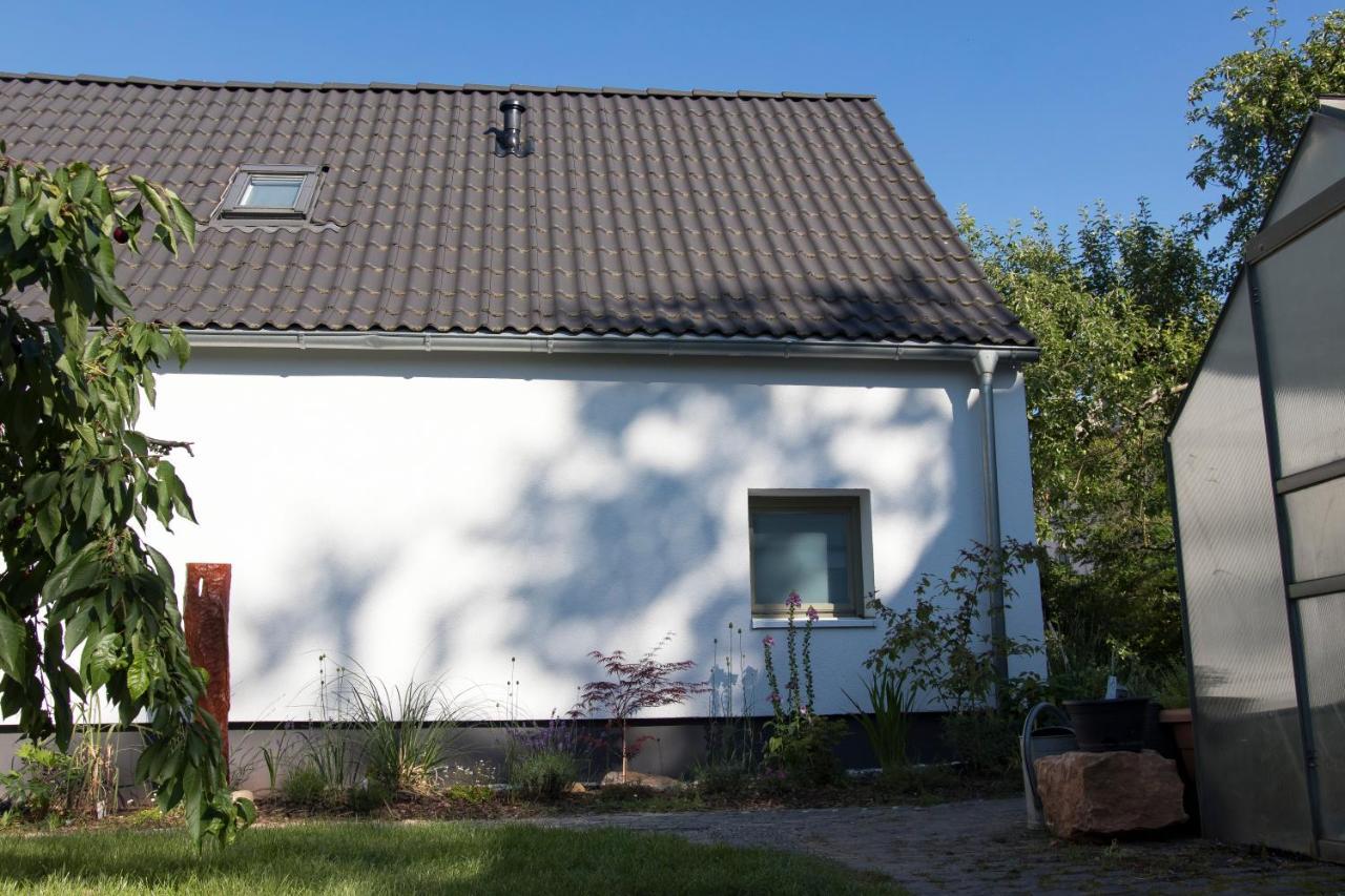 Villa dresden-ferien haus Exterior foto